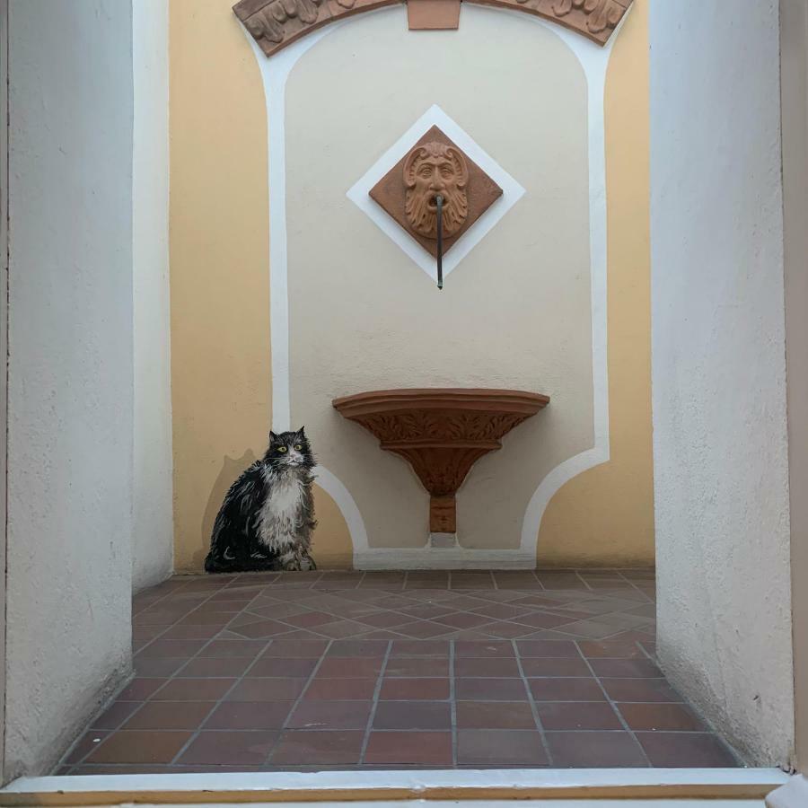 Whouse Suite Porta Di Castello Болонья Екстер'єр фото